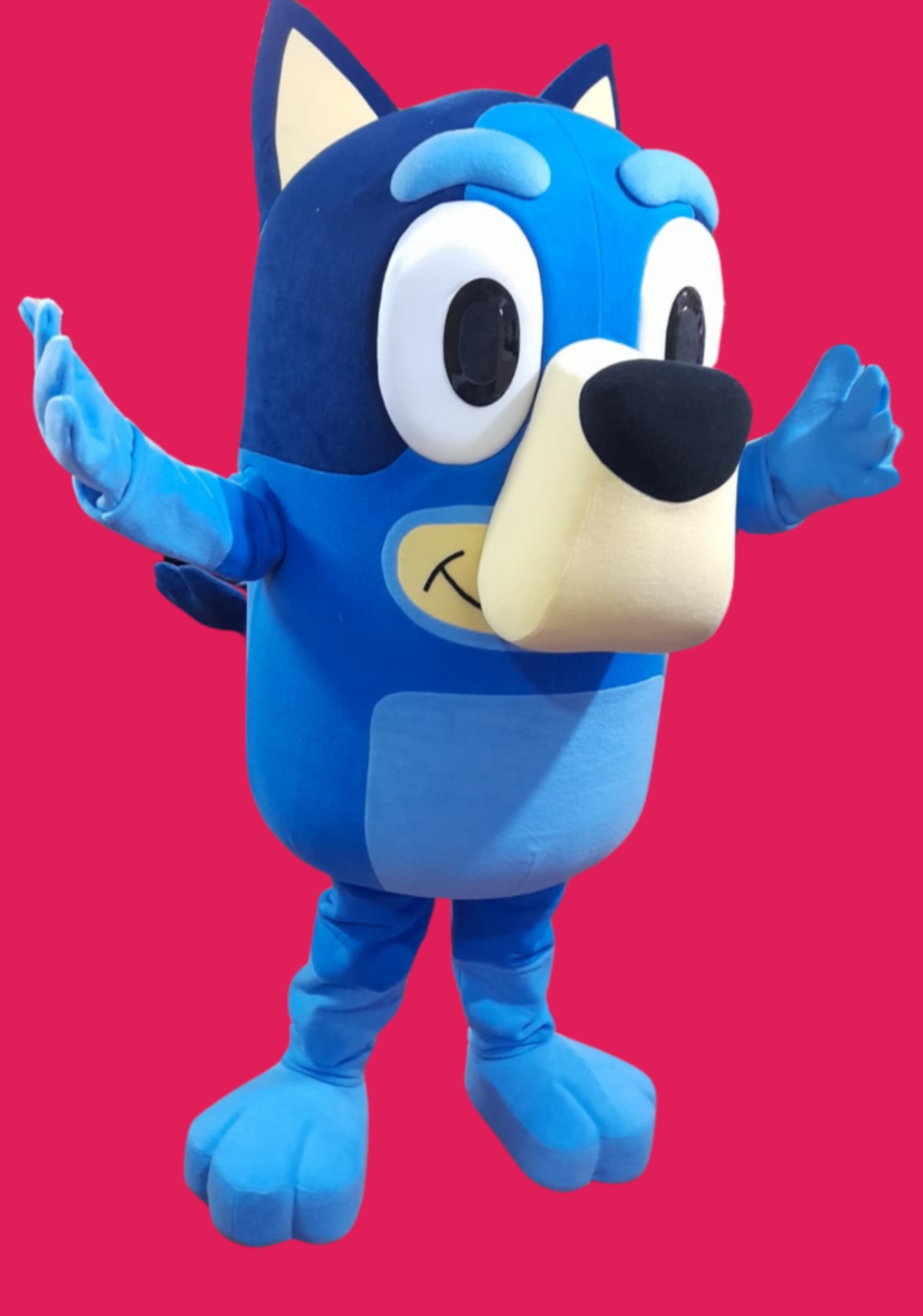 Bluey character mascot costume performer