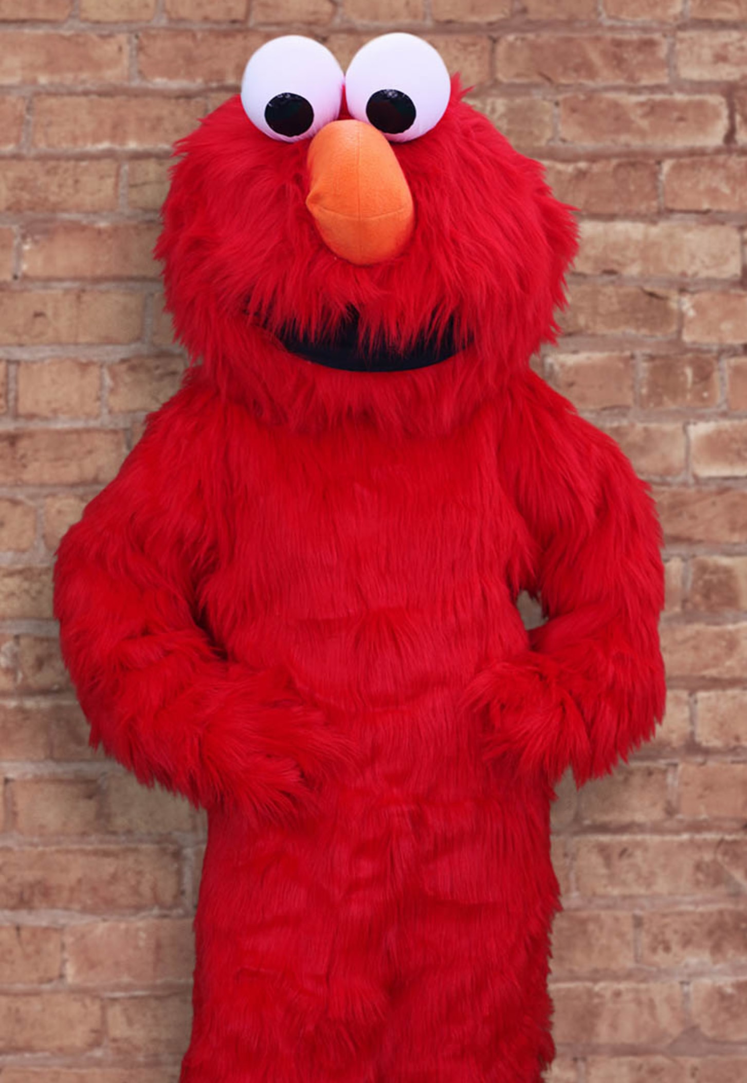 Elmo character mascot costume performer